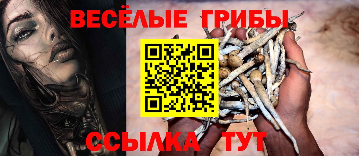 Лыткарино  Галлюциногенные грибы Cubensis  Вход с VPN 